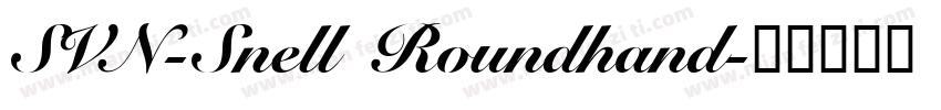 SVN-Snell Roundhand字体转换